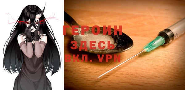 хмурый Ельня