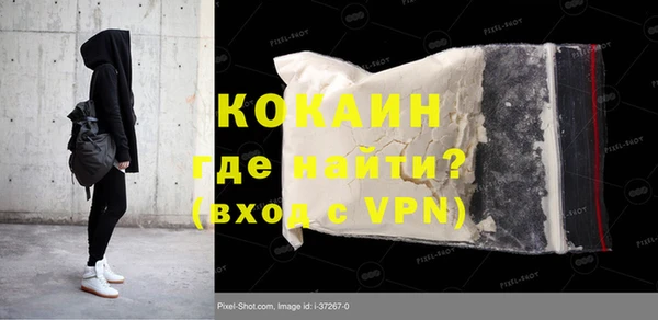 хмурый Ельня