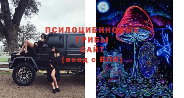 амф Елизово