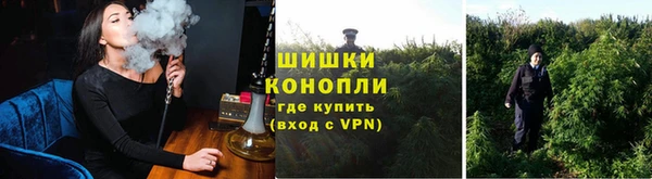 амф Елизово