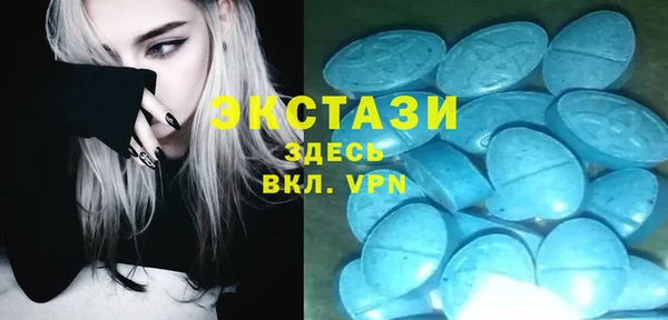хмурый Ельня