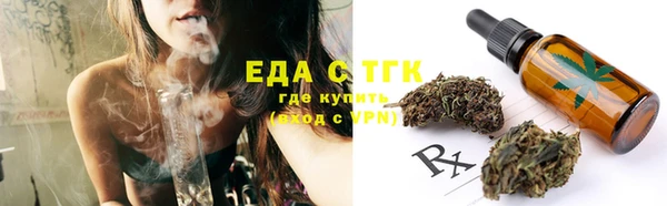хмурый Ельня