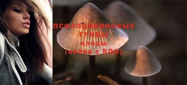 амф Елизово