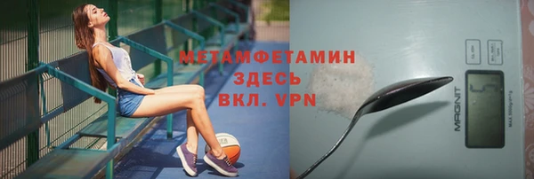 хмурый Ельня
