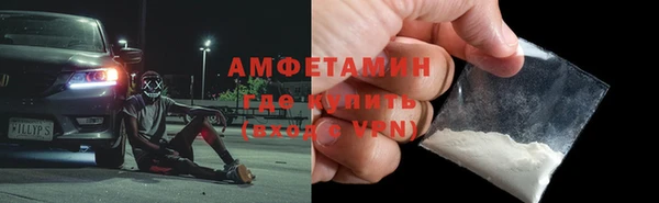 хмурый Ельня