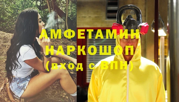 хмурый Ельня