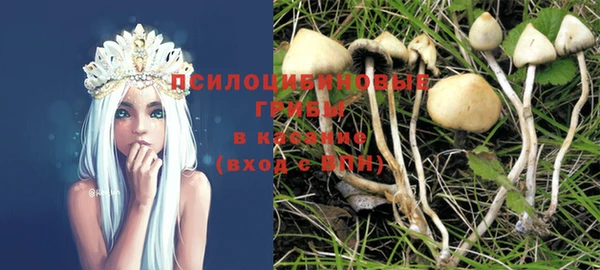 хмурый Ельня