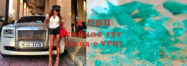 хмурый Ельня
