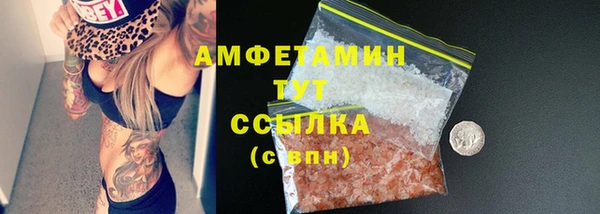 хмурый Ельня
