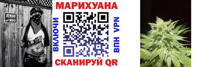 Купить  Ефремов  Бошки Шишки VHQ 